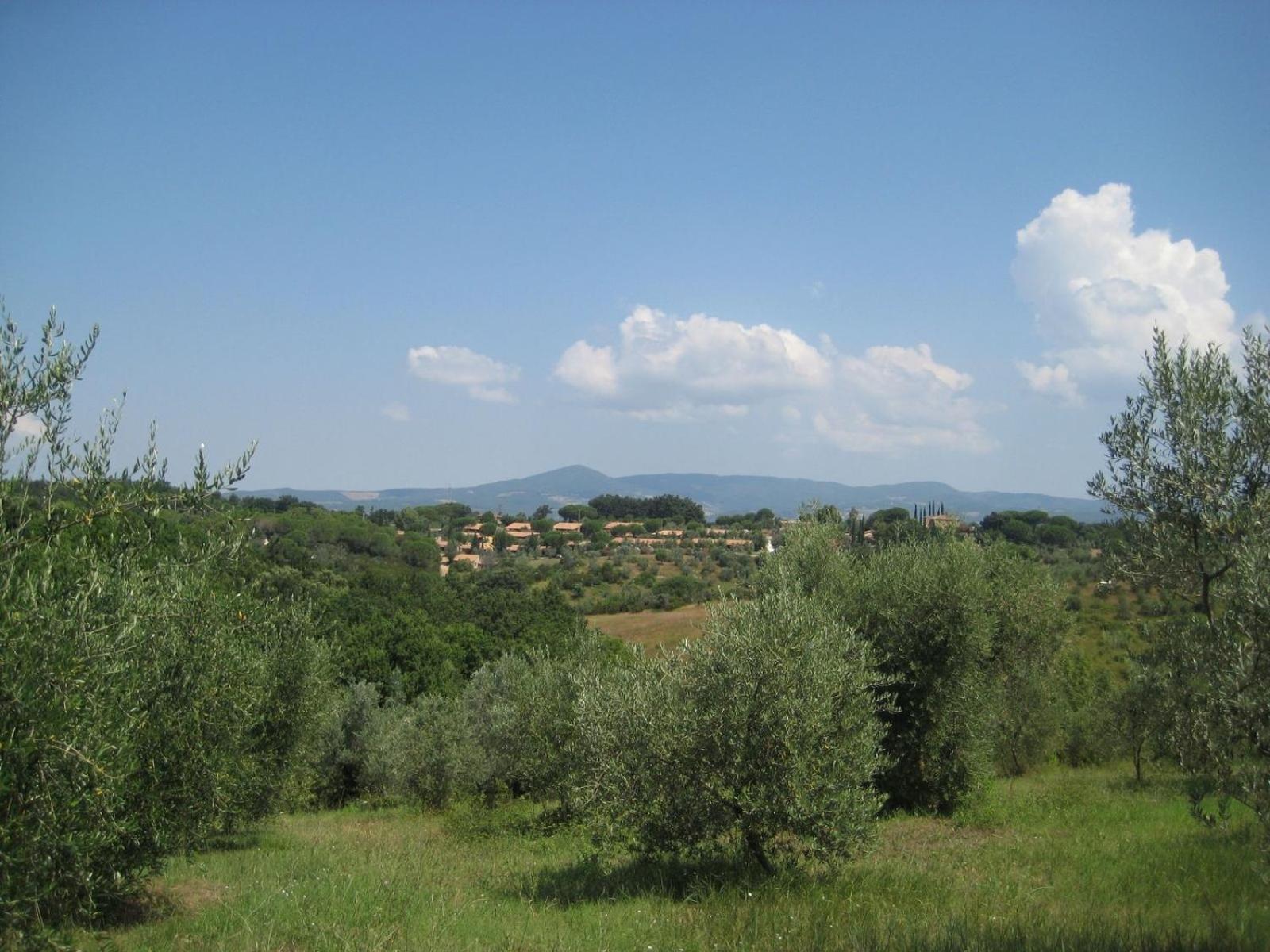 Il Borgo Centro Vacanze Guardistallo Extérieur photo