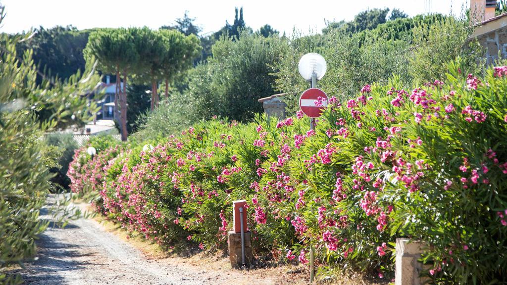 Il Borgo Centro Vacanze Guardistallo Extérieur photo