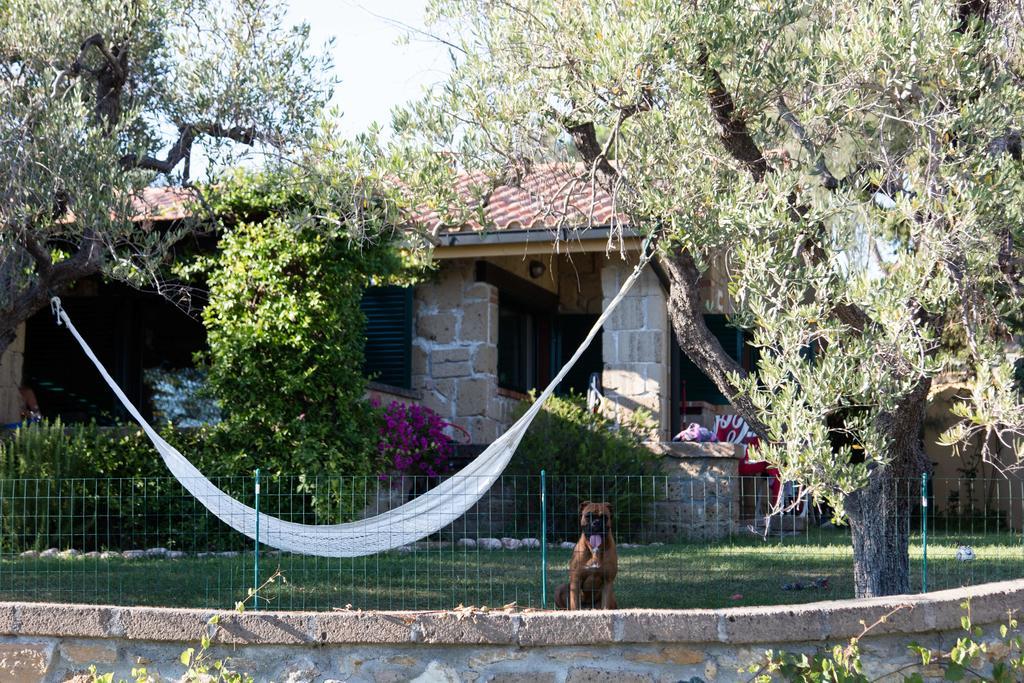 Il Borgo Centro Vacanze Guardistallo Extérieur photo